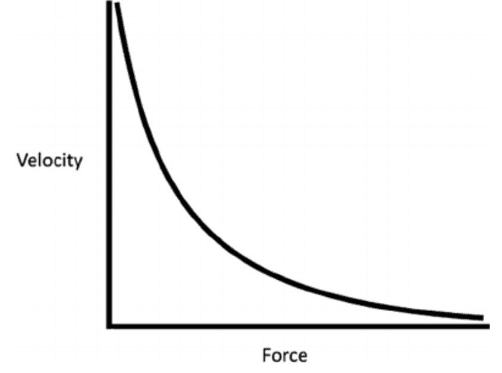 The force velocity curve